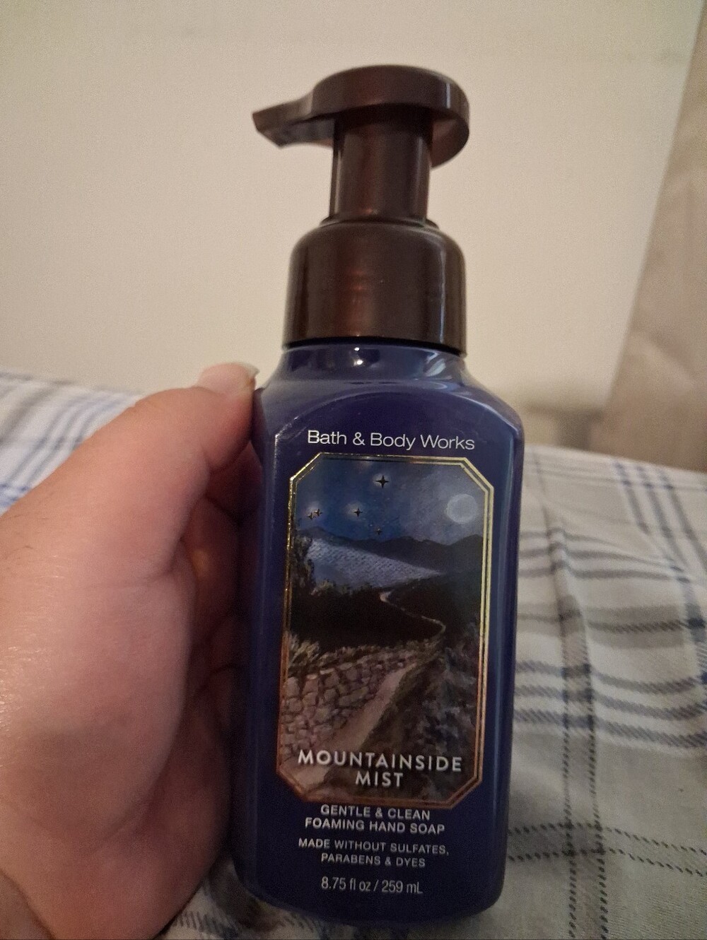 Bath & Body Works Mountainside Mist Hand Soap